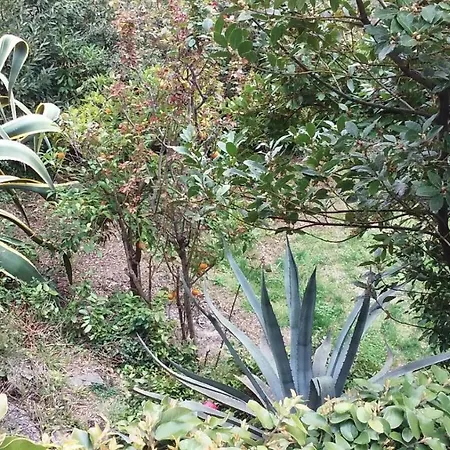 Bed and breakfast Il Capriolo