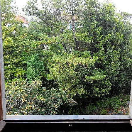 Bed & Breakfast Il Capriolo Celle Ligure