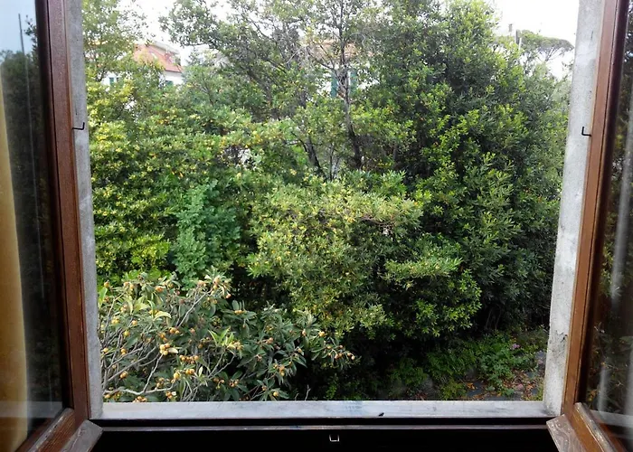 Il Capriolo 塞勒里古