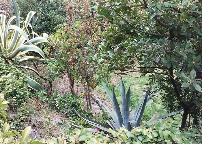 Couette-café Il Capriolo